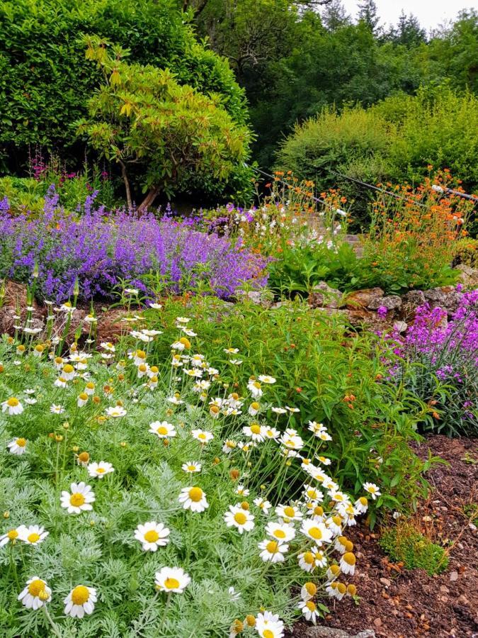 Eastwrey Barton Country House Lustleigh 외부 사진
